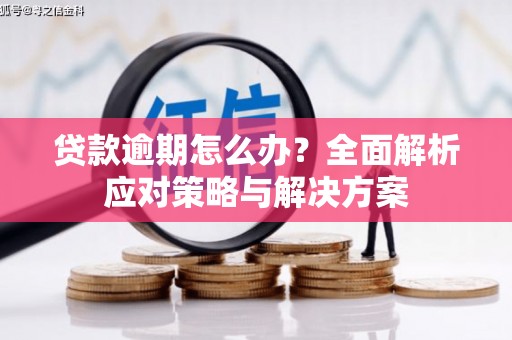 三明贷款逾期怎么办？全面解析应对策略与解决方案