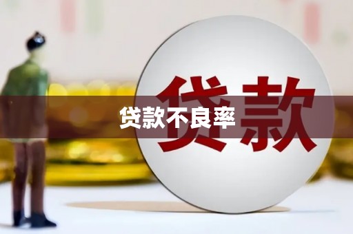三明贷款不良率