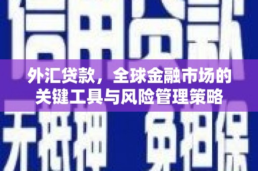 三明外汇贷款，全球金融市场的关键工具与风险管理策略