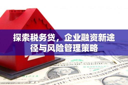 三明探索税务贷，企业融资新途径与风险管理策略