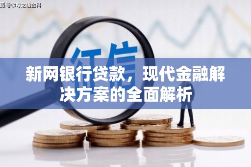 三明新网银行贷款，现代金融解决方案的全面解析