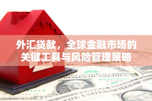 三明外汇贷款，全球金融市场的关键工具与风险管理策略