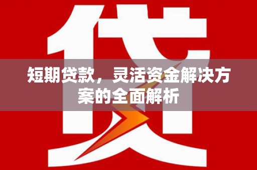 三明短期贷款，灵活资金解决方案的全面解析