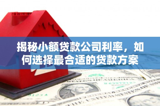 三明揭秘小额贷款公司利率，如何选择最合适的贷款方案