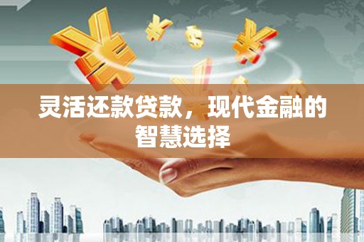 三明灵活还款贷款，现代金融的智慧选择