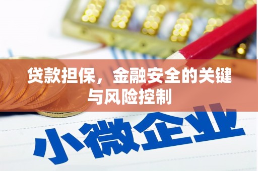 三明贷款担保，金融安全的关键与风险控制