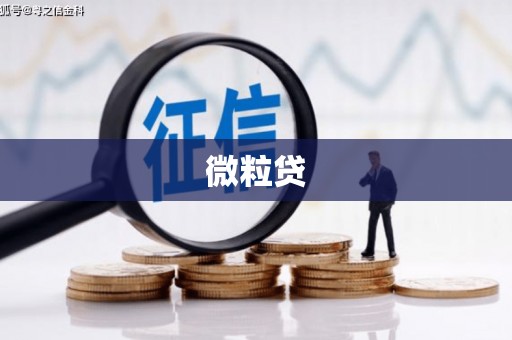 三明微粒贷