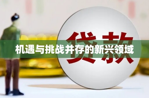 三明机遇与挑战并存的新兴领域