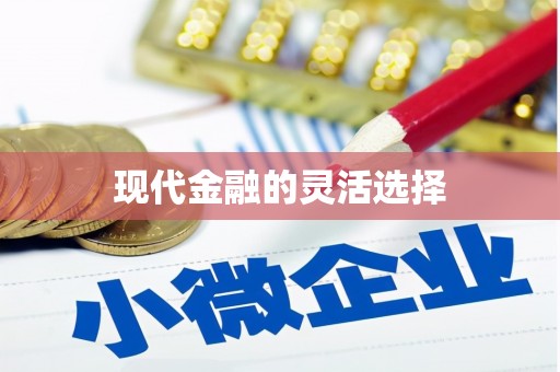 三明现代金融的灵活选择