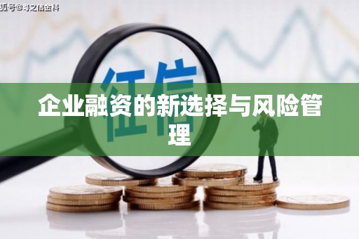 三明企业融资的新选择与风险管理